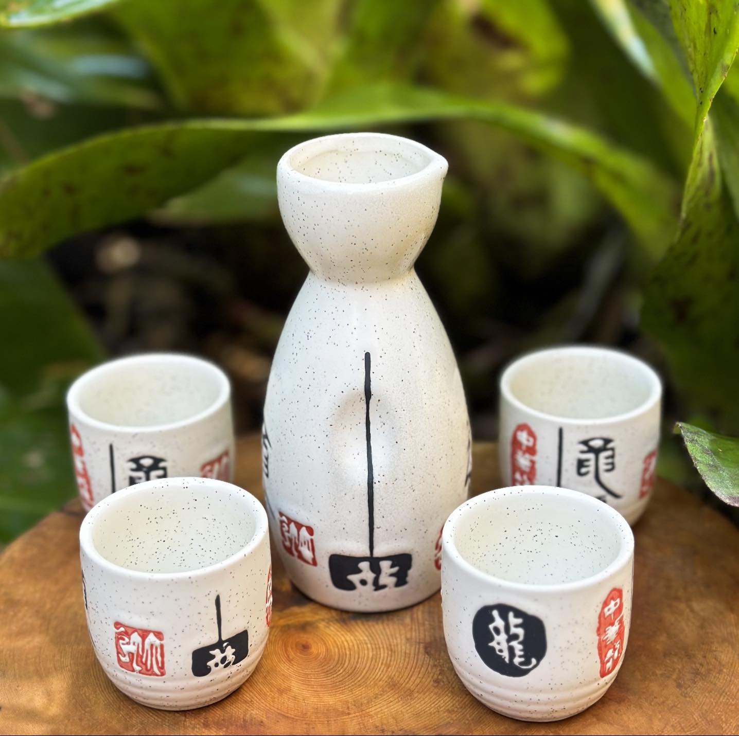 Traditional Japanese Ceramic Sake Set - Solkatt Designs 